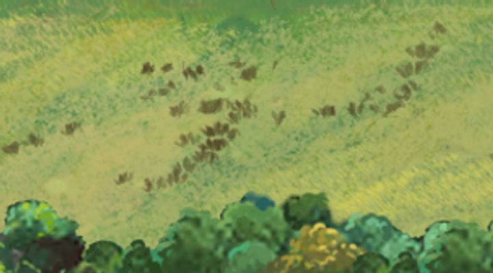 Extrait de la carte illustrée, zone B01