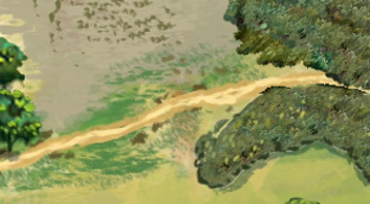 Extrait de la carte illustrée, zone C11