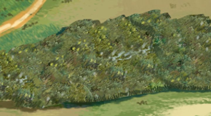 Extrait de la carte illustrée, zone O15